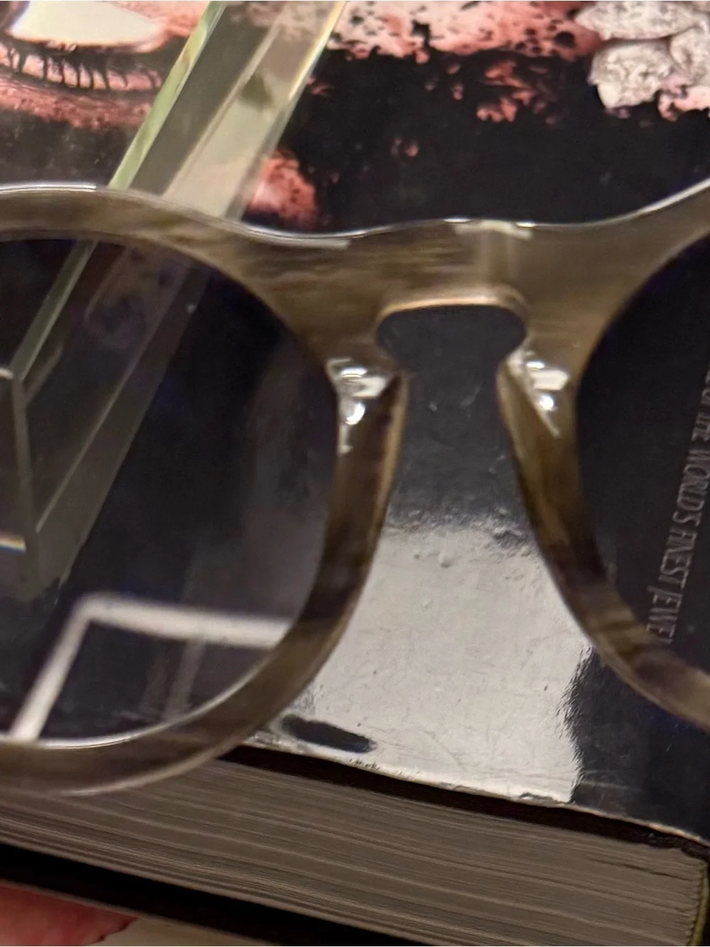 Krewe du Optic Sunglasses